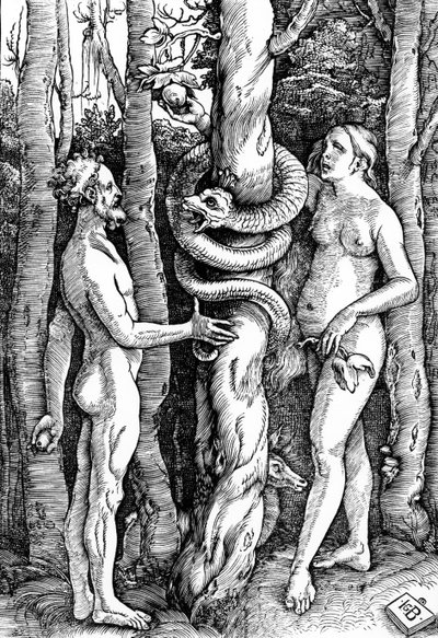 The Fall of Man, c.1514 by Hans Baldung Grien